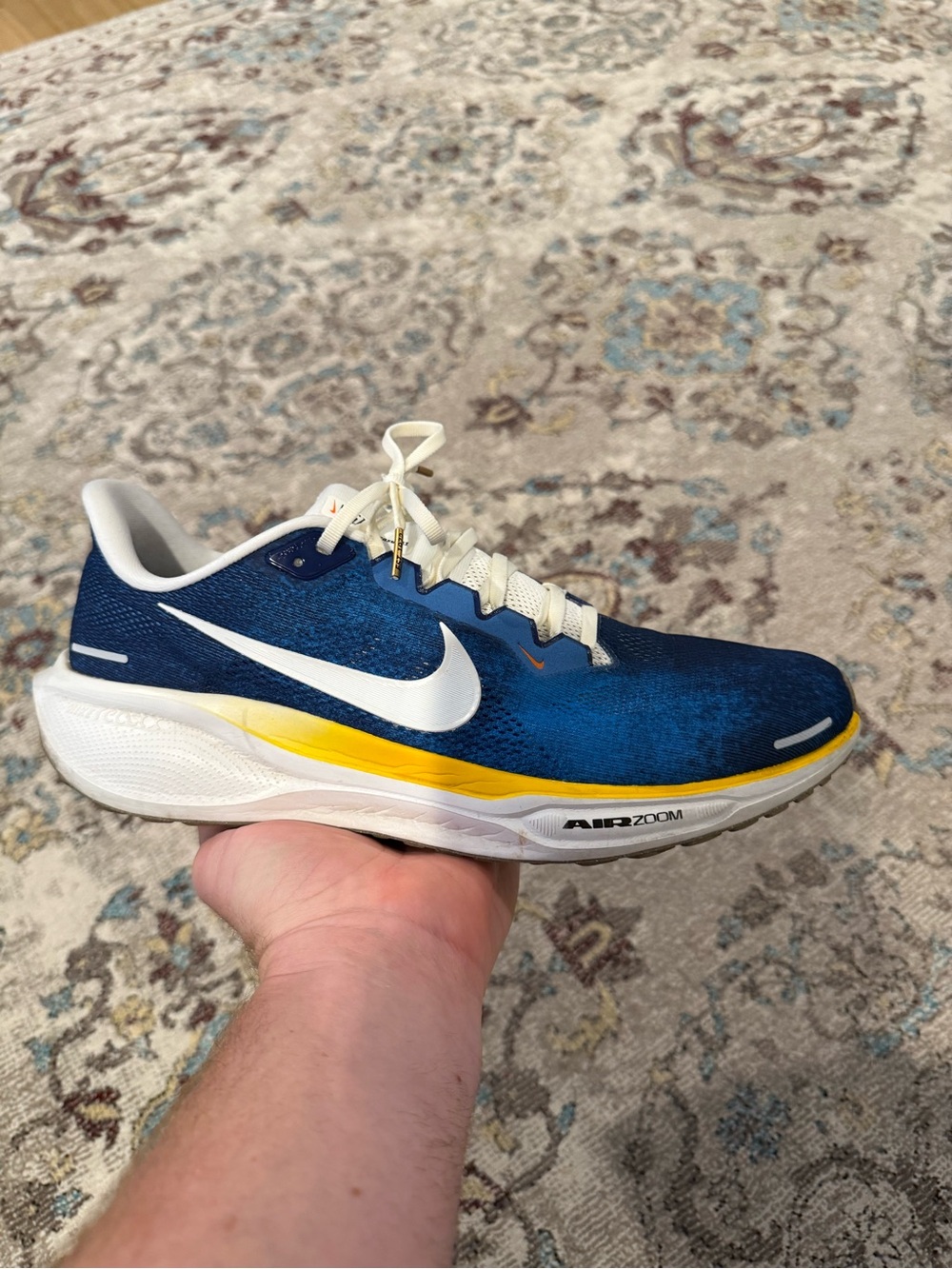 Nike Pegasus 41 - size 13